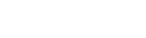 Leaders Academy